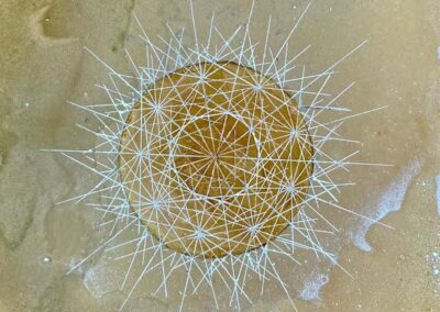 A circular geometric pattern with intersecting white lines radiates from the center, forming a starburst effect on a textured, sandy brown background.