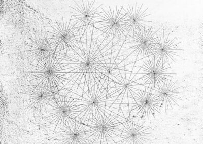 A geometric pattern of intersecting straight lines radiates from multiple central points on a textured white background, forming a network of starburst shapes arranged in a loose circular cluster.