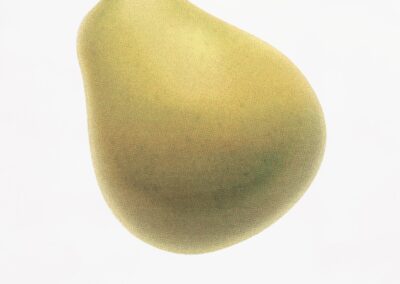 A realistic illustration of a single yellow-green pear is centered on a white background, evoking the conceptual style of John Baldessari. Below the pear, the words "LUXURY SEDAN" are printed in uppercase letters.