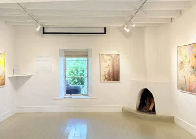 A bright art gallery room at El Zaguán with white walls, three nature-themed paintings by Elizabeth Chiles, a small corner fireplace, a window revealing greenery outside, and a display shelf holding papers on the left wall in 2025.
