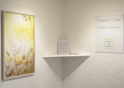 A softly sunlit artwork with floral silhouettes hangs on a white wall next to a large sign reading “Elizabeth Chiles, Stardust Dialogues, Richard Levy Gallery.” A document rests on a small corner shelf between them, hinting at El Zaguán 2025.