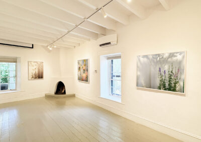 A bright art gallery room at El Zaguán features Elizabeth Chiles’ nature-themed artworks for 2025, displayed on white walls with wooden floors. A small fireplace, two windows, and track lighting complete the inviting space.