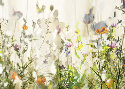 A dreamy, softly blurred image of wildflowers with orange, purple, and green hues, overlaid with a translucent, watercolor-like texture—evoking an ethereal, abstract vibe perfect for art exhibitions.