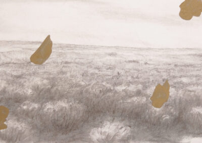 A pencil sketch of a flat, grassy landscape under a cloudy sky, with five irregular, gold-colored splotches scattered across the image—a subtle nod to Bell Mills 2025.