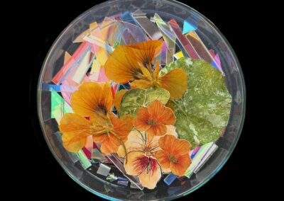 A round glass dish contains pressed orange flowers and green leaves, artfully arranged atop colorful, iridescent shards on a black background—a vibrant example of sustainable art celebrating the Art of ReUse.