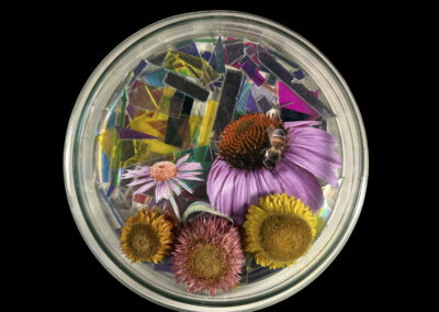 A glass dish showcases the Art of ReUse with colorful shattered fragments, three dried flowers, one fresh pink flower, and a bee resting on the petals—all artfully arranged against a black background.