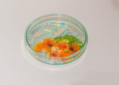 A glass Petri dish containing orange and yellow flowers, green leaves, and iridescent fragments, displayed on a white surface.