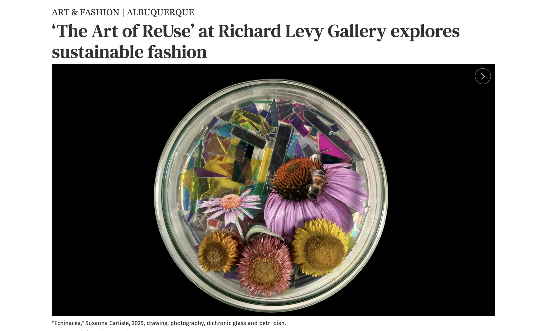 Screenshot A glass petri dish contains colorful shards of dichroic glass and vibrant flowers, including pink and yellow blossoms, set against a black background—perfect for an Art Gallery News feature.