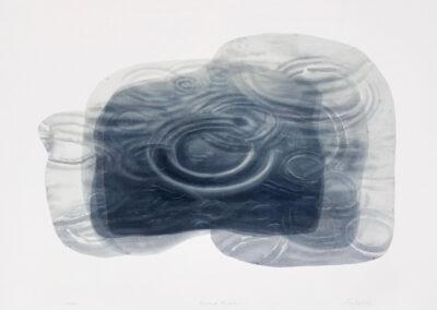 Abstract artwork featuring overlapping translucent gray shapes with layered circular ripple patterns, resembling water ripples or rings spreading out on a surface, set against a plain white background.