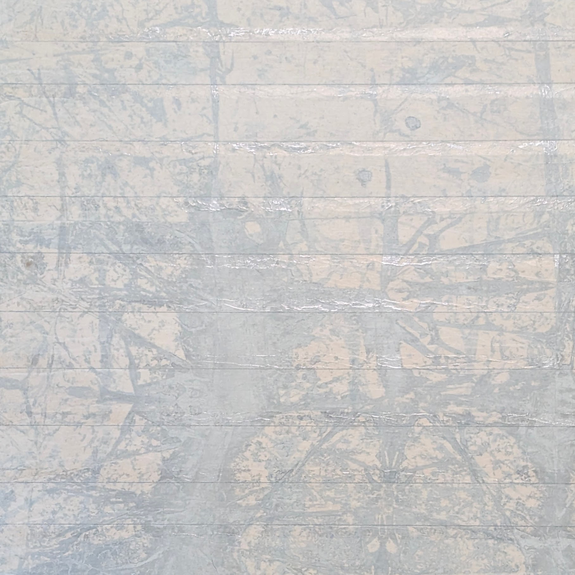 A textured surface with a pale, off-white and gray color, featuring faint, organic-looking lines and patterns that resemble branches or veins, and subtle horizontal ridges.