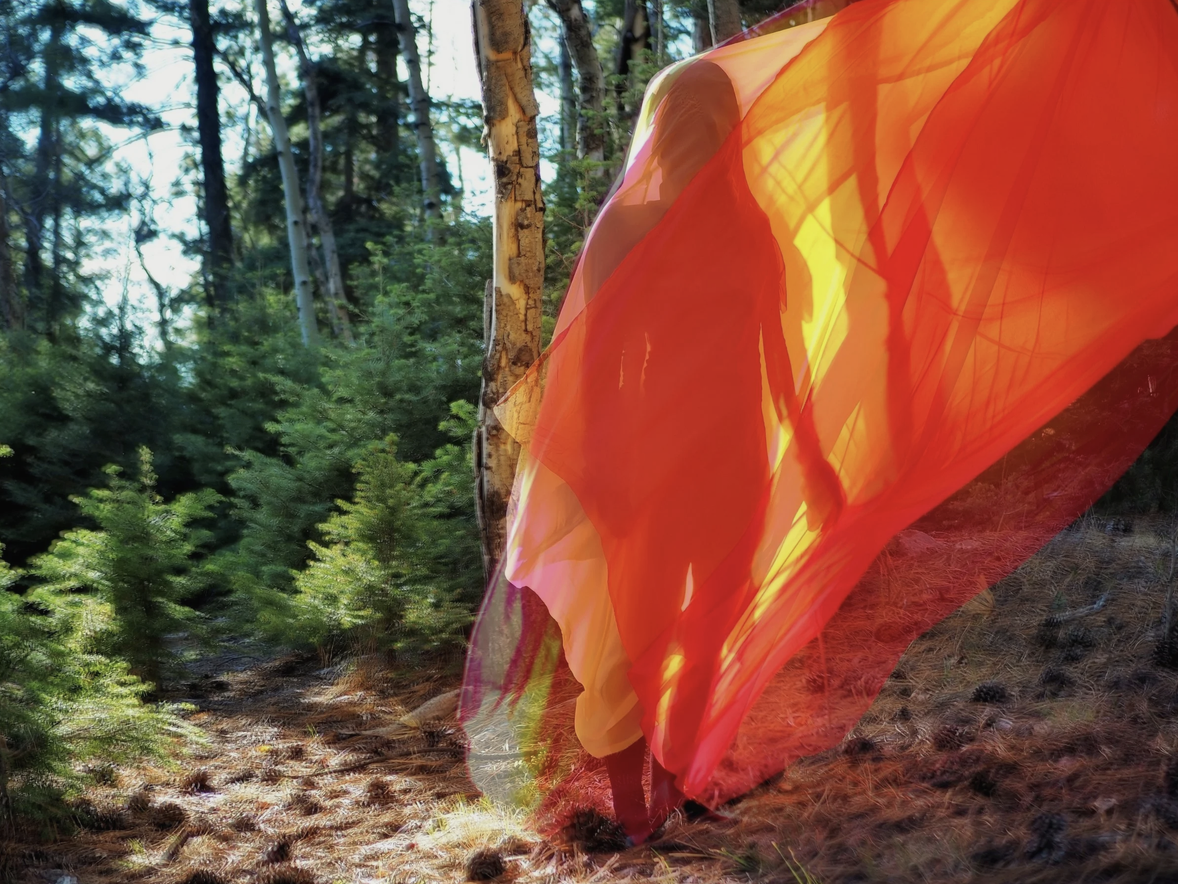 Cedar Rose Silverado, Fire Creature: Transformation, Giclée print on 260 gsm premium luster photo paper, 43.5 x 58 inches A silhouette of a person standing in a forest, wrapped in flowing, translucent layers of bright orange and red fabric, reminiscent of an art exhibition.